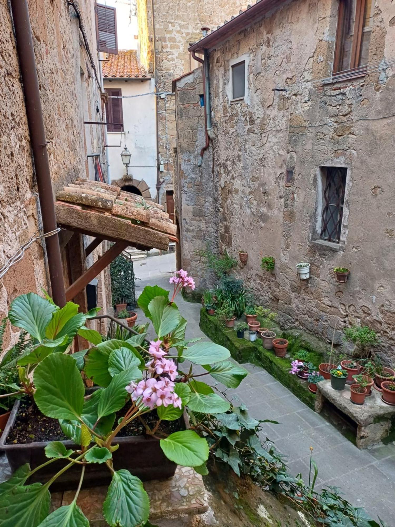 Apartament Casa Il Girasole Pitigliano Zewnętrze zdjęcie
